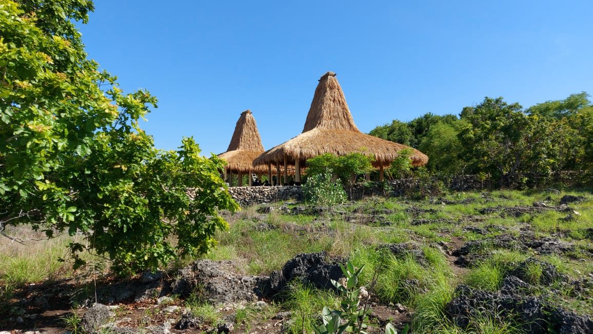 Existing thatched-roof units on the Nila Resort site